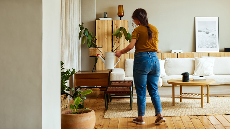 Servicio de vigilancia