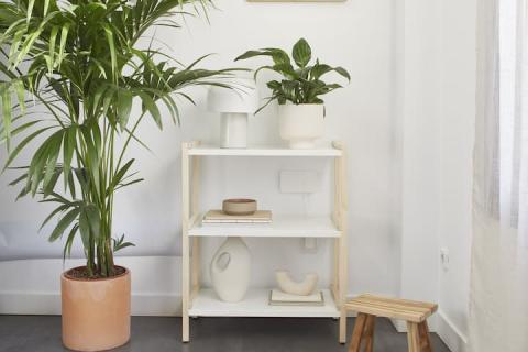 Seguridad y protección en casa