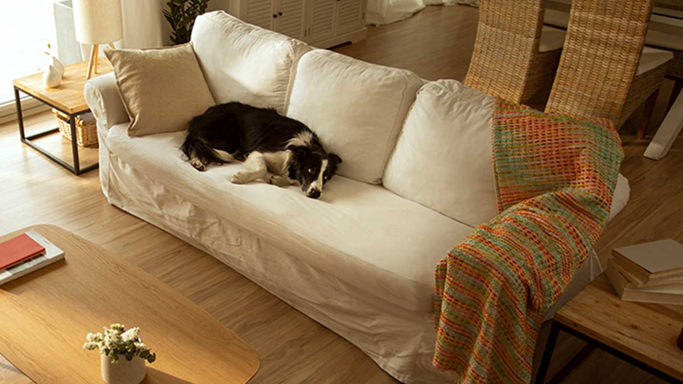 Cámara de vigilancia Arlo